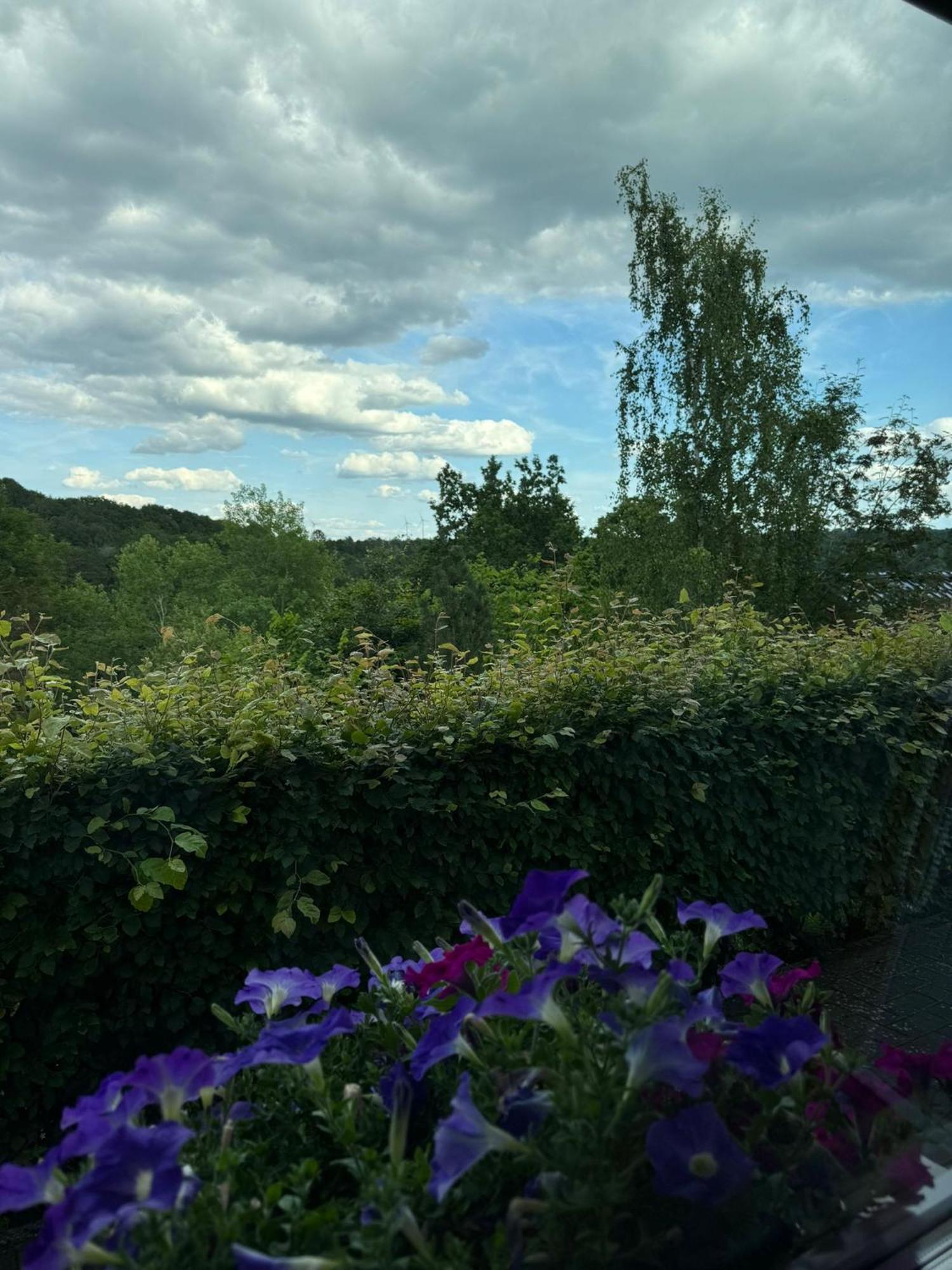 Fewo In Monschau Buitenkant foto